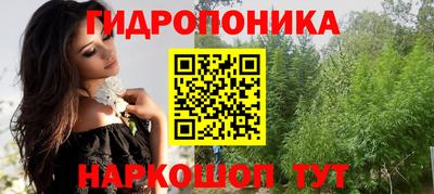 шишки Краснодар